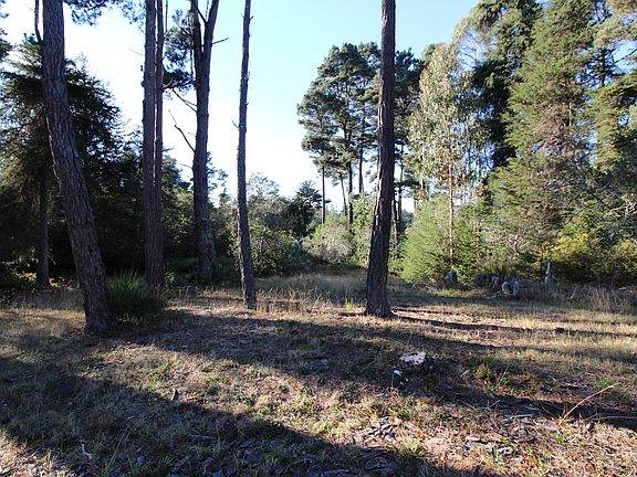 5th image of 16292 Pearson Ln