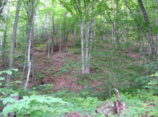 0 Old Brush Creek Rd, Bryson City, NC 28713