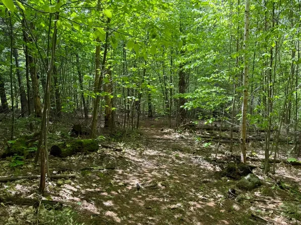 Lot 4 North Street #43, Dover, VT 05431