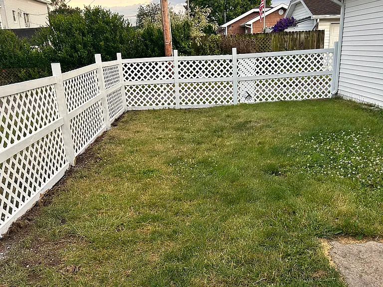 Fenced yard