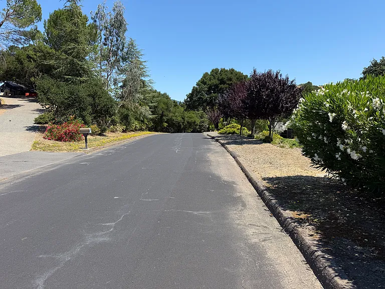 427 Bloom Ln — Photo 7