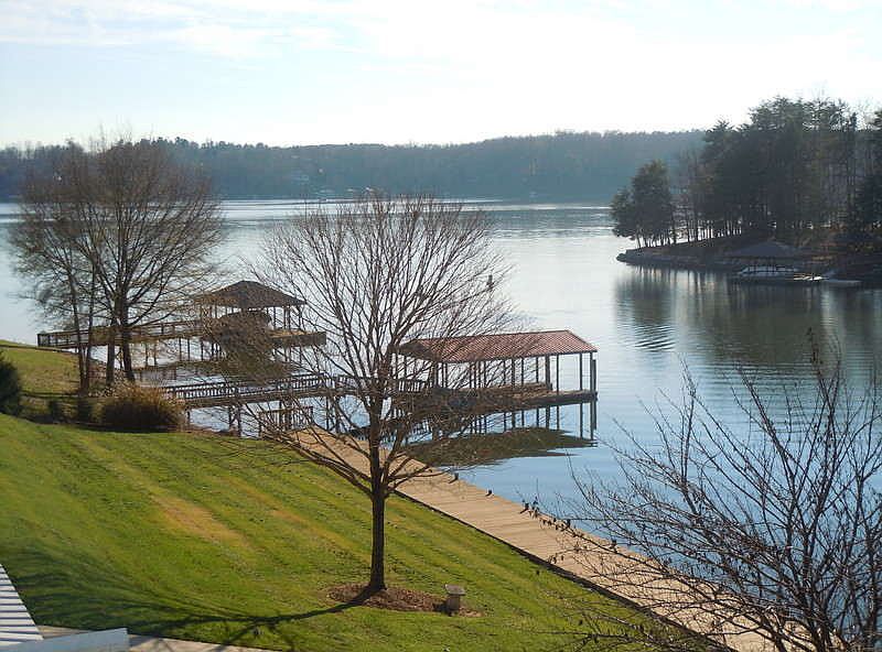 Deck View