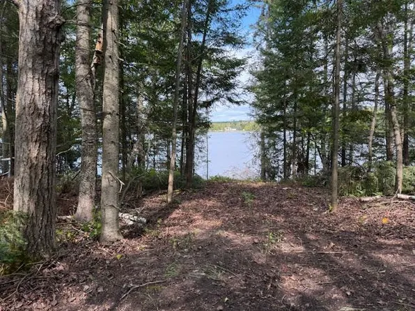 15798 Lakeview Dr, Wolverine, MI 49799