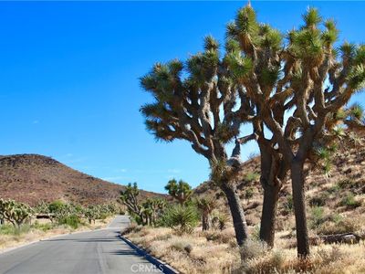 56448 Skyline Ranch Rd, Yucca Valley, CA, 92284