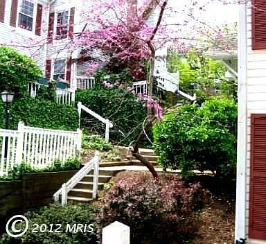 1st image of 2907D S Woodstock St #4
