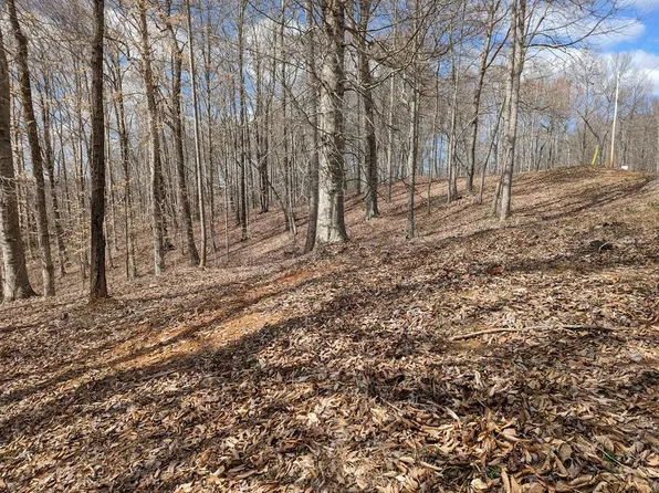 8 Chestnut Hills Rd, Burkesville, KY 42717