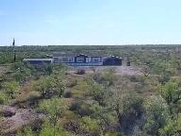 12361 County Road 1445 #R000037967, Paint Rock, TX 76866