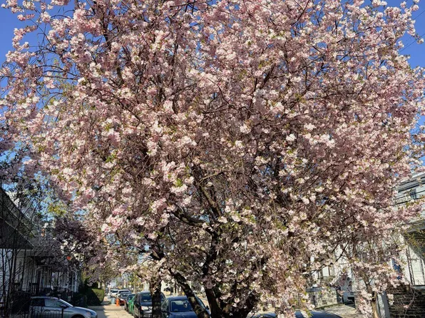 450 Leverington Ave, Philadelphia, PA 19128