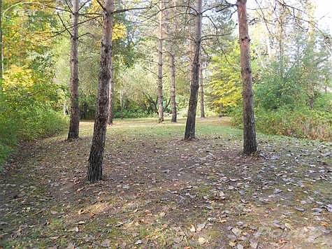Apple trees drop goodies for the deer