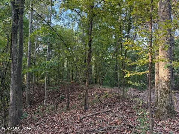 0 Judkins Rd, Yazoo City, MS 39194