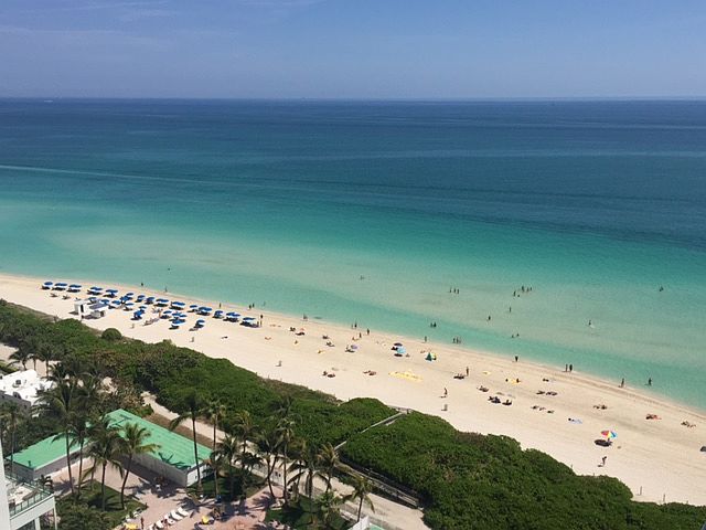 1st image of 6301 Collins Ave APT 2108