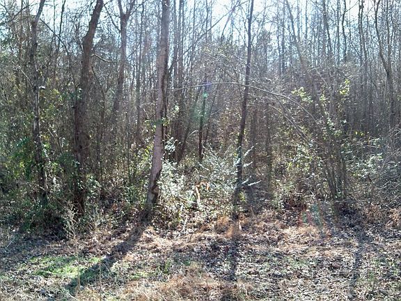 2nd image of 6025 State Highway 39 S
