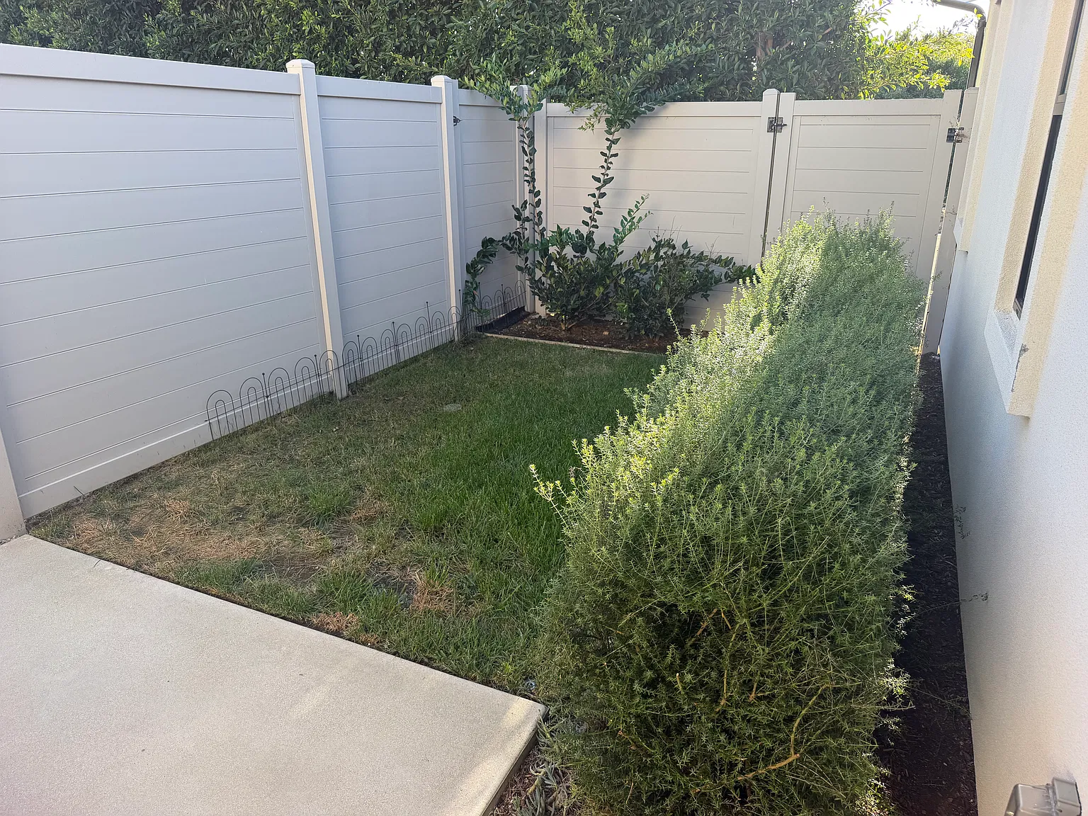 1 bed, 515 sqft, $3,200 — Photo 4