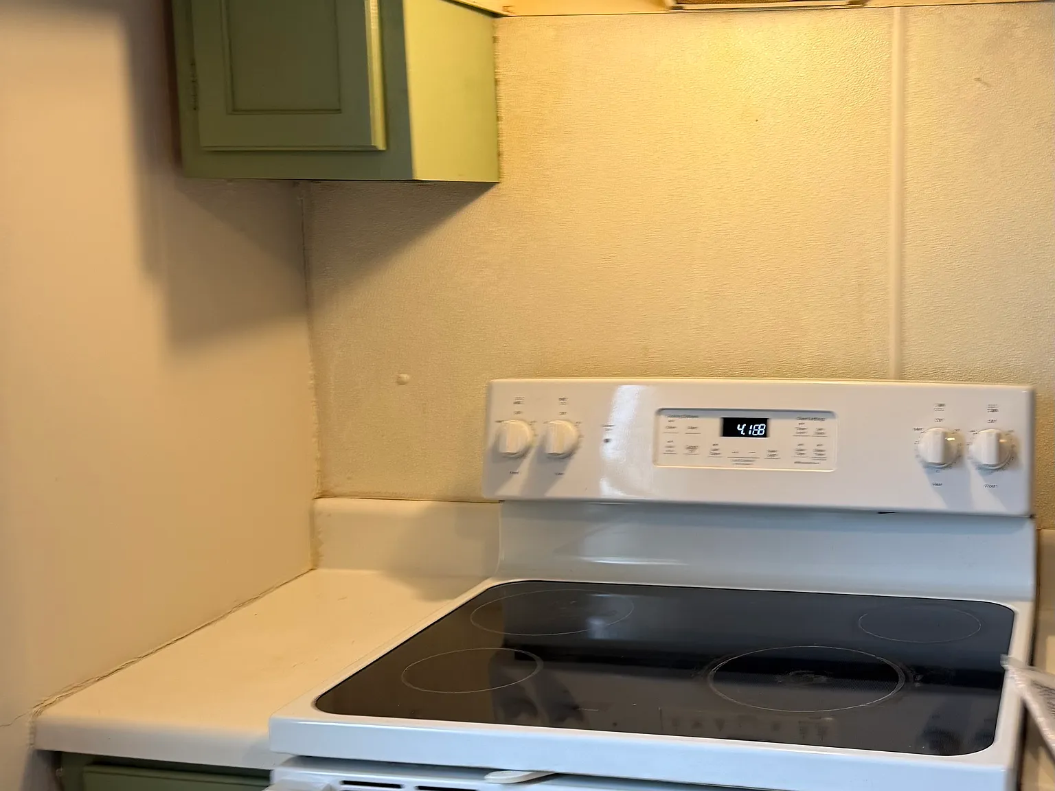 1 bed, $800 — Photo 3