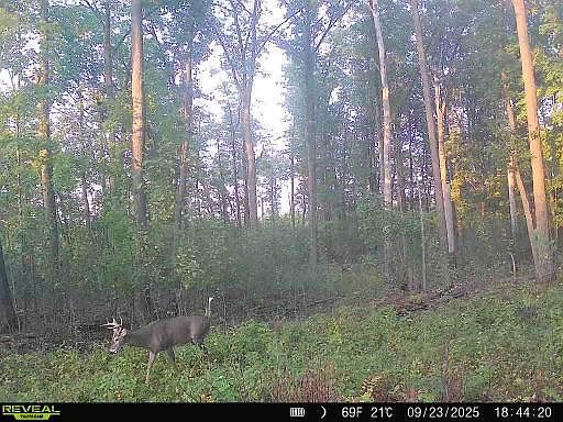 3rd image of Xxx Fleming Logging Rd