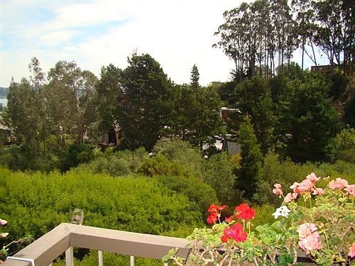 Views of the greenbelt