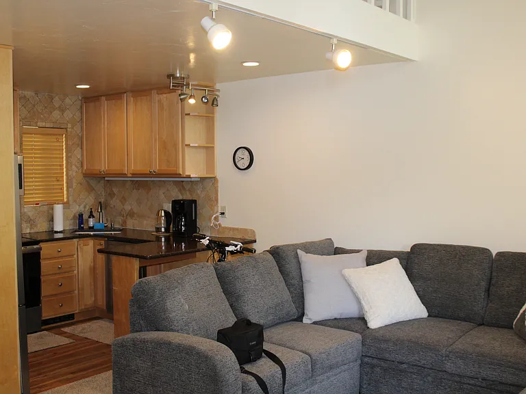 2459 Indian Springs Condo Dr #Dr Dr 102 — Photo 11