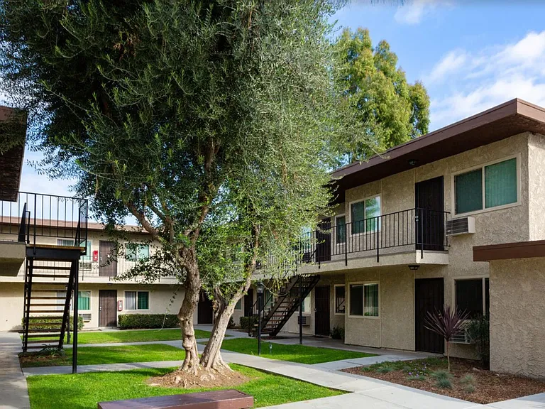 Los Arboles — Photo 14