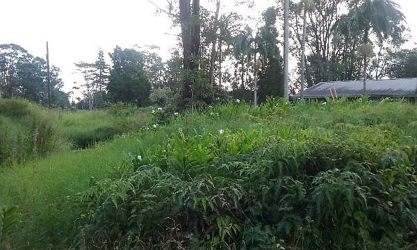 1st image of Haumalu St Lot 113