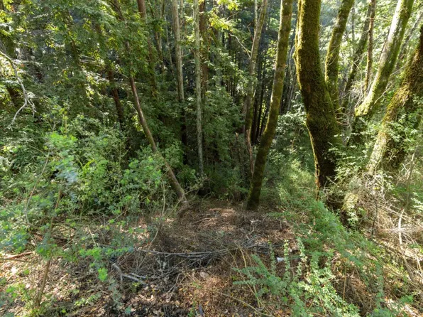 43 Buckeye St #44, Felton, CA 95018