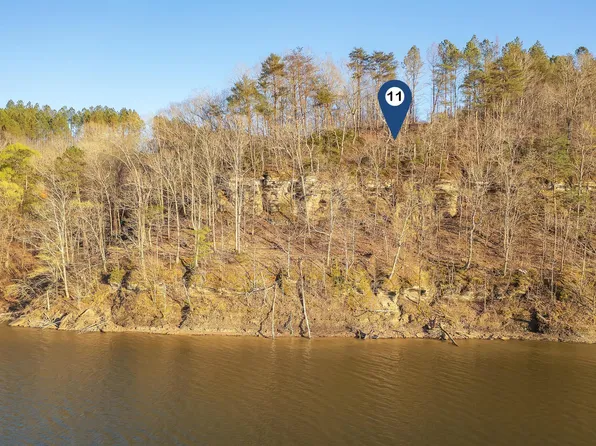 11 Flat Rock Cv, Crane Hill, AL 35053