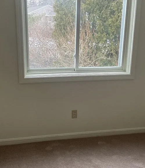 Dunns Bridge Apartments — Photo 11