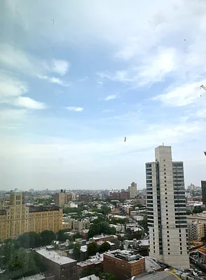 Rented by Bold New York | media 8