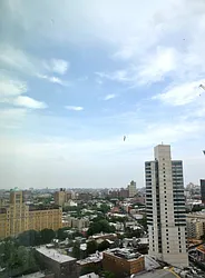 Rented by Bold New York