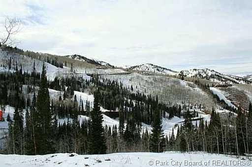 4th image of 221 White Pine Canyon Rd #V