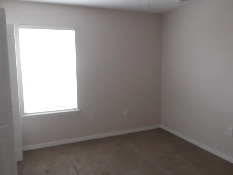 4005 Pemberly Pines Cir — Photo 11