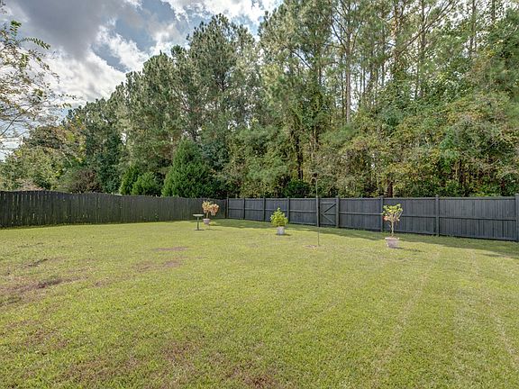 Backyard 3
