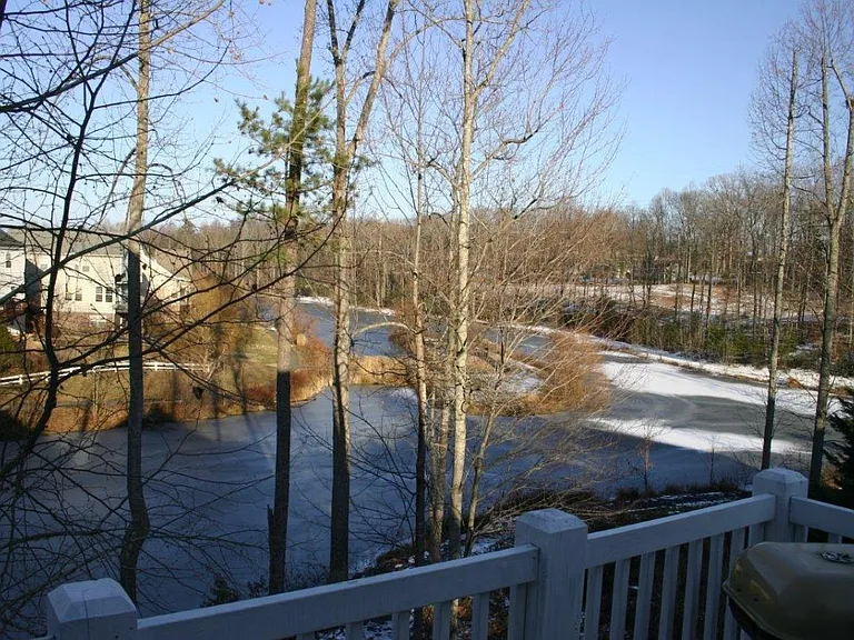 view from deck