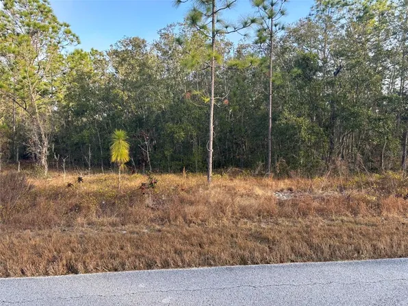 SW Ancher Blvd Lot 38, Dunnellon, FL 34431