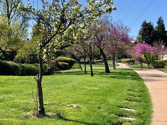 Local walking trails