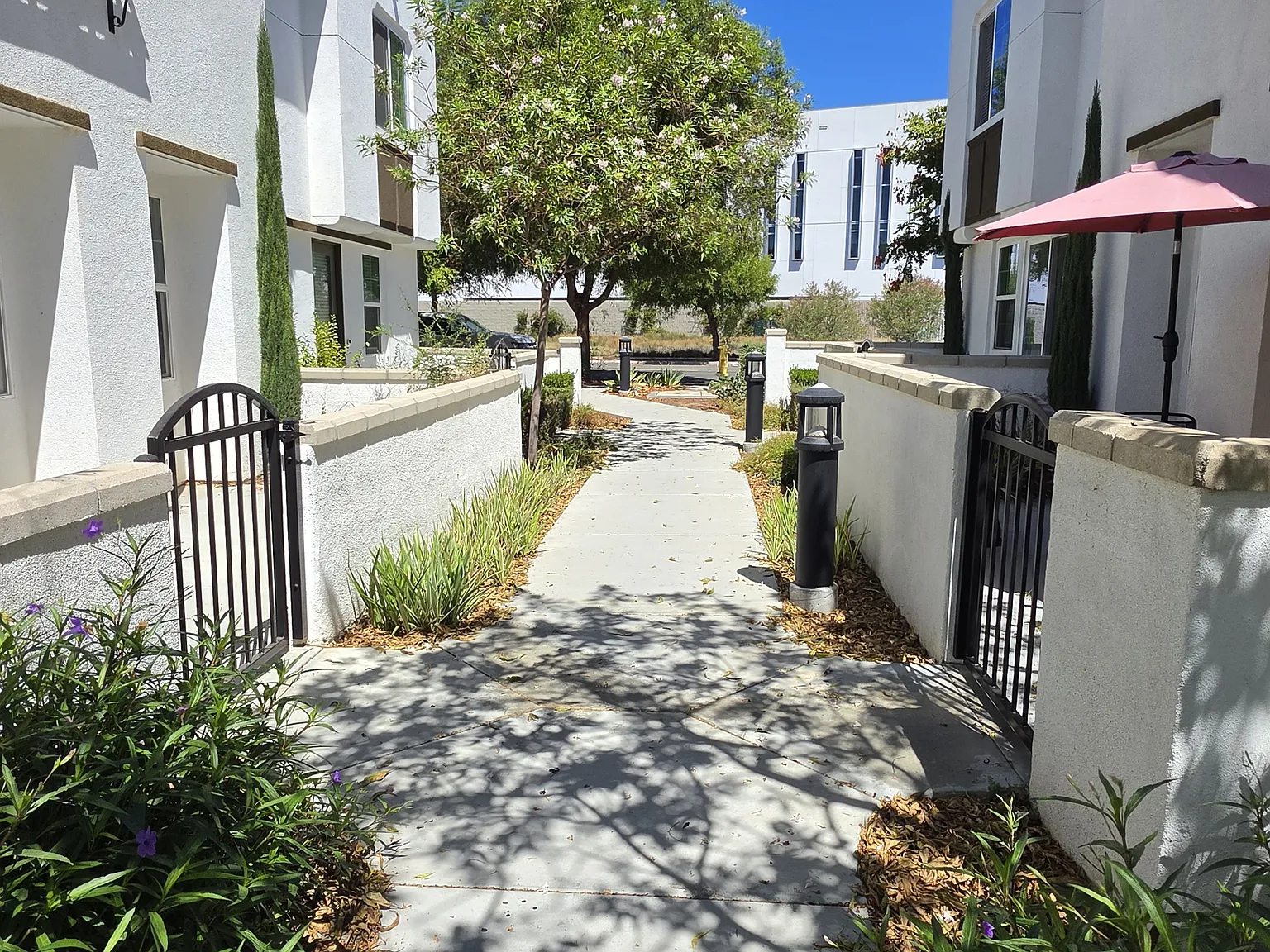 3 bed, 2.5 bath, 1527 sqft, $2,995 — Photo 4