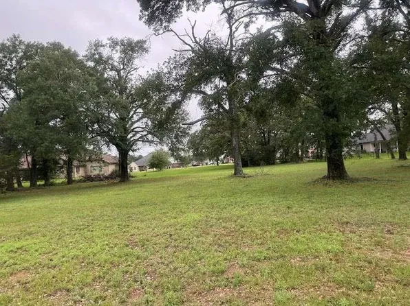 LOT 63 Birdie Dr, Hempstead, TX 77445
