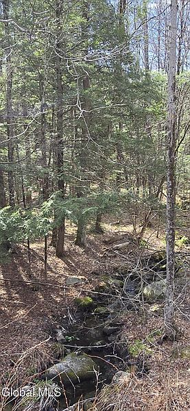 2nd image of L45 Jacobs Ladder Road