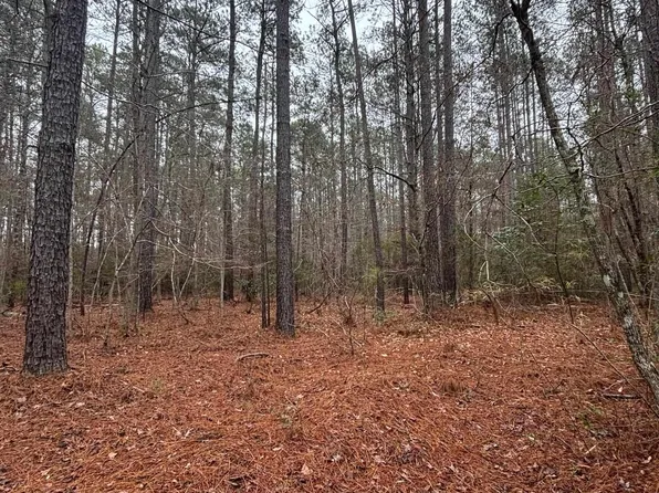Suttons Rd., Andrews, SC 29510