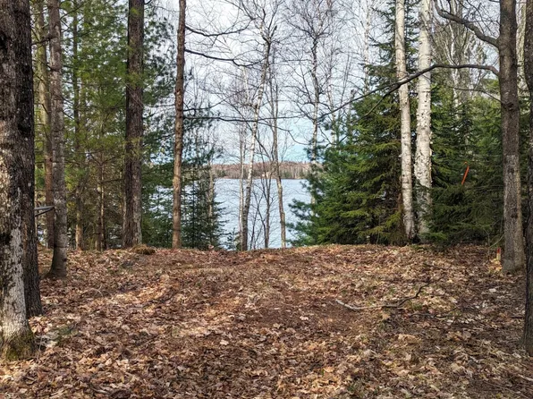 N12928 Lone Pine Rd, Fifield, WI 54524