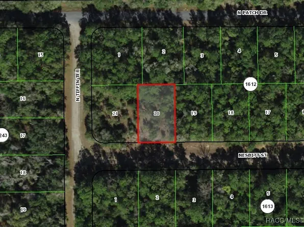 1049 E Nesbitt Ln, Citrus Springs, FL 34434