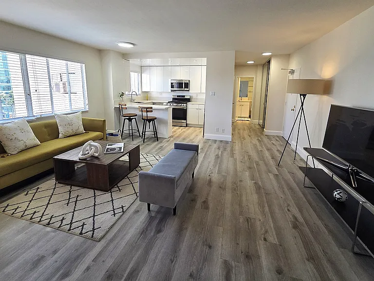 702 Renovated kitchen with new white cabinets, SS appliances plus ONE MONTH FREE!! Call for details!