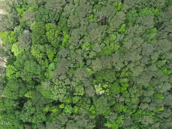 2538 Us Highway 98, Smithdale, MS 39664