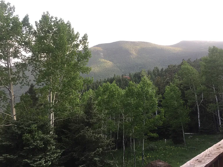 Snyder Mountain Rd — Photo 22