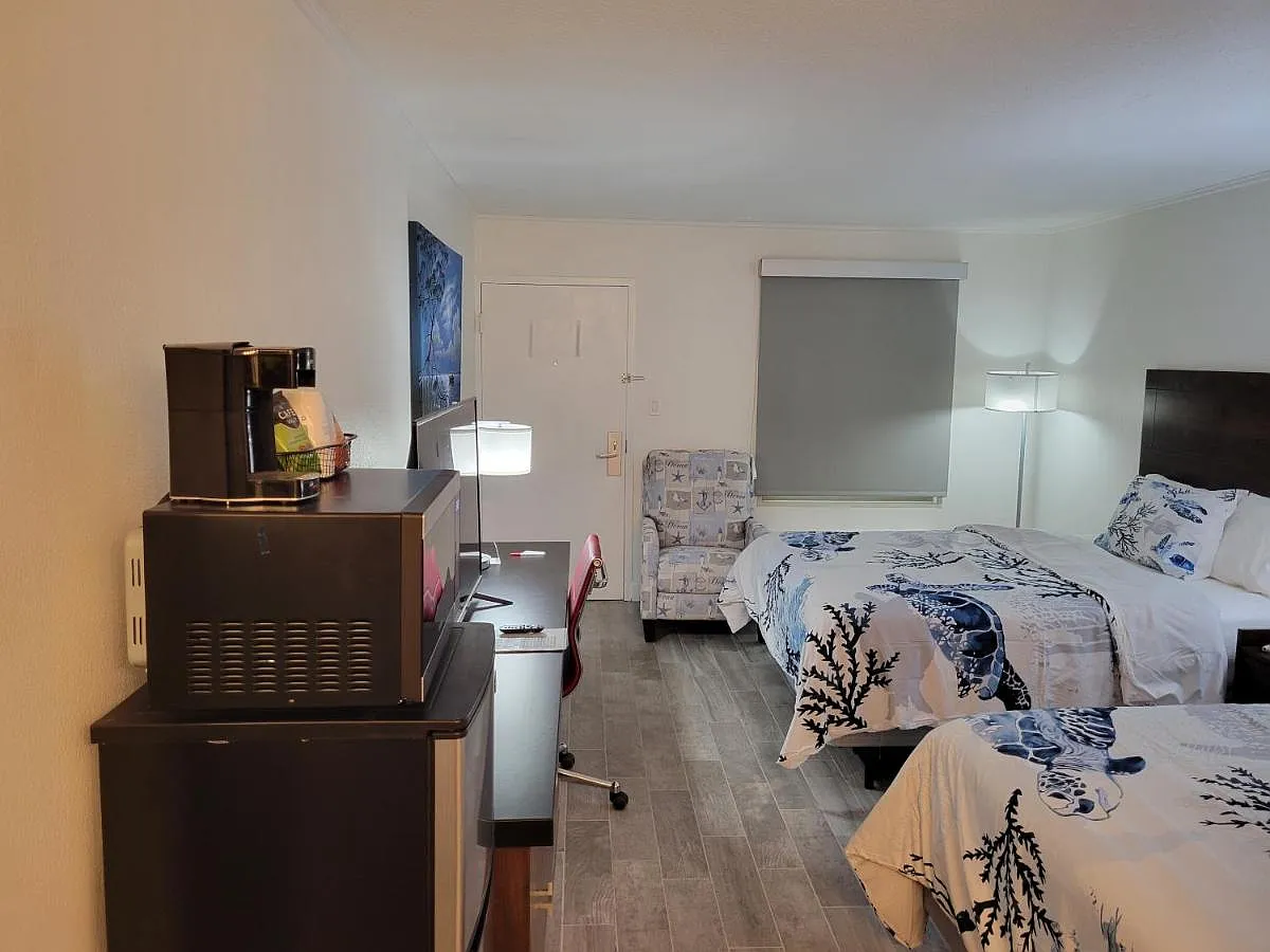 Studio, 276 sqft, $1,200 — Photo 2