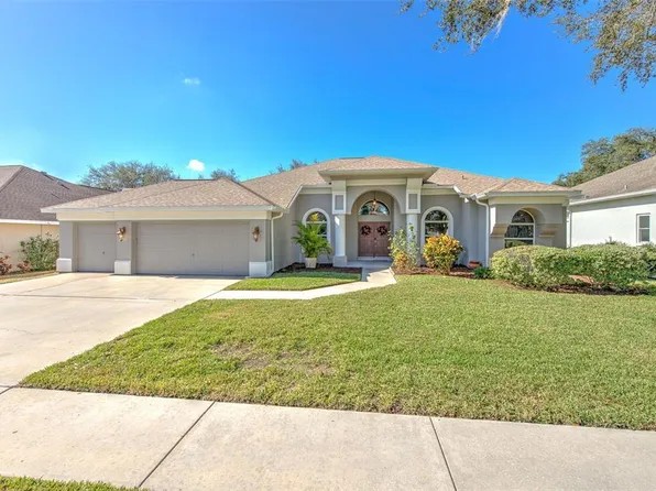 4318 Swift Cir, Valrico, FL 33596