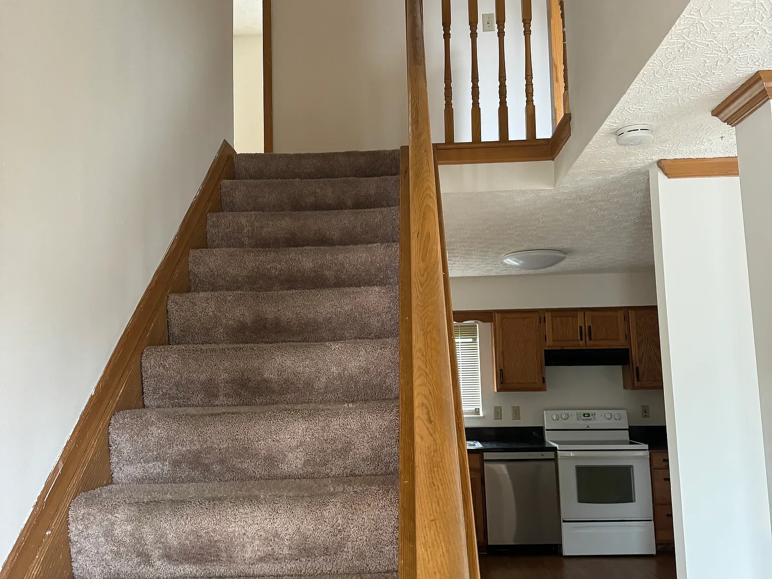 6243 Wismer Cir — Photo 3