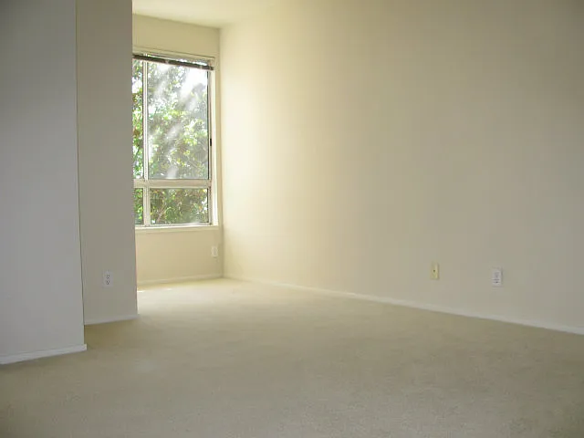 951 S 12th St #207 — Photo 12