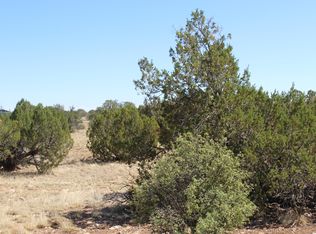 Sec 9 T14n R16e #NW4-SW4-SW4, Heber, AZ 85928