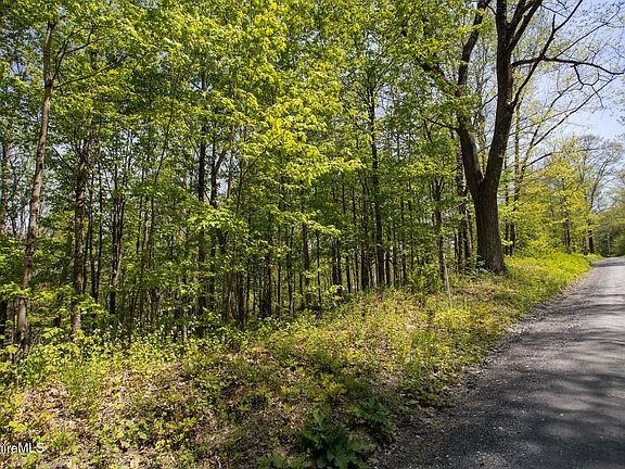 4th image of 0 Goose Pond Rd Lot 4