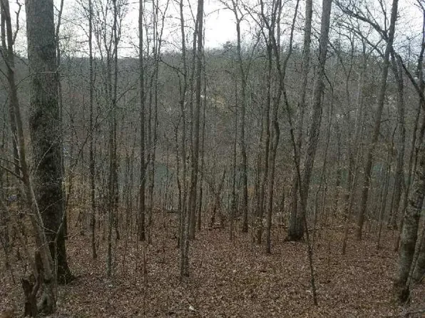 Yoakum Hollow Rd, Jacksboro, TN 37757